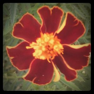 Meet your Posher, Sandra